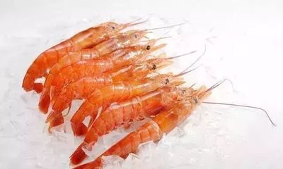 海鮮界的“無名英雄” 這些你常吃的美味，你真的認識它們嗎？